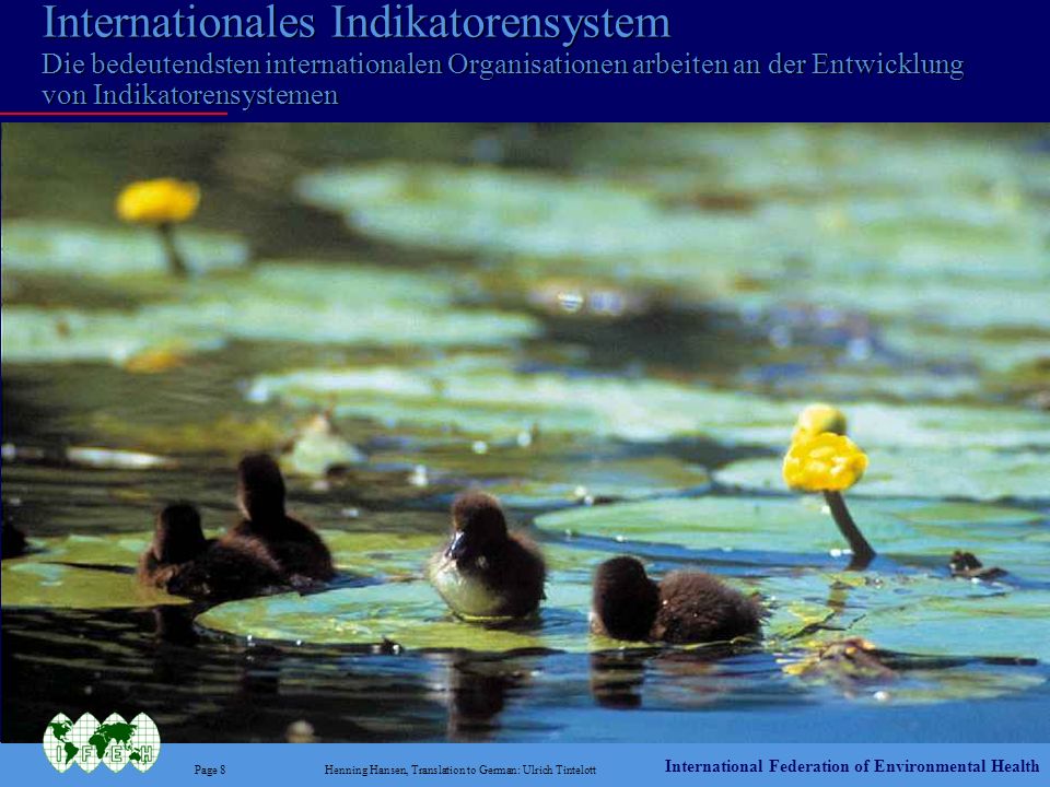 Internationales Indikatorensystem Die bedeutendsten internationalen Organisationen arbeiten an der Entwicklung von Indikatorensystemen
