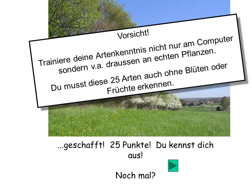 Du musst diese 25 Arten auch ohne Blüten oder Früchte erkennen.