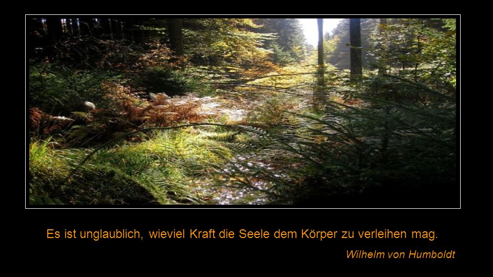 Es ist unglaublich, wieviel Kraft die Seele dem Körper zu verleihen mag.