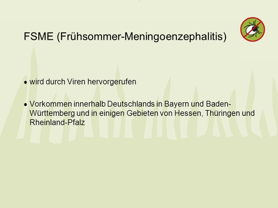 FSME (Frühsommer-Meningoenzephalitis)