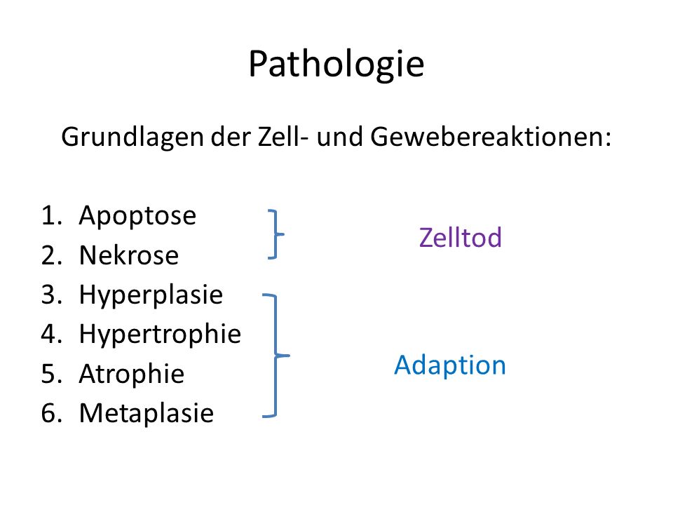 Grundlagen der Zell- und Gewebereaktionen: