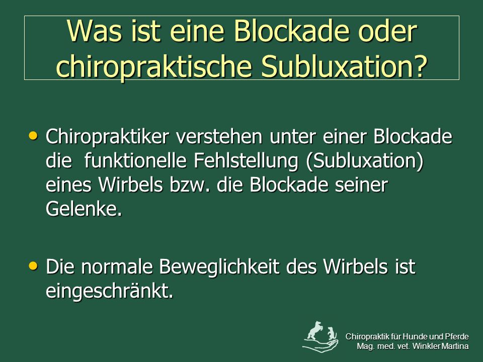 Was ist eine Blockade oder chiropraktische Subluxation