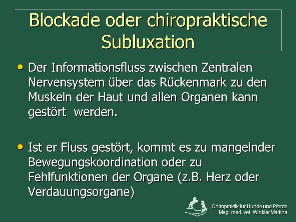 Blockade oder chiropraktische Subluxation