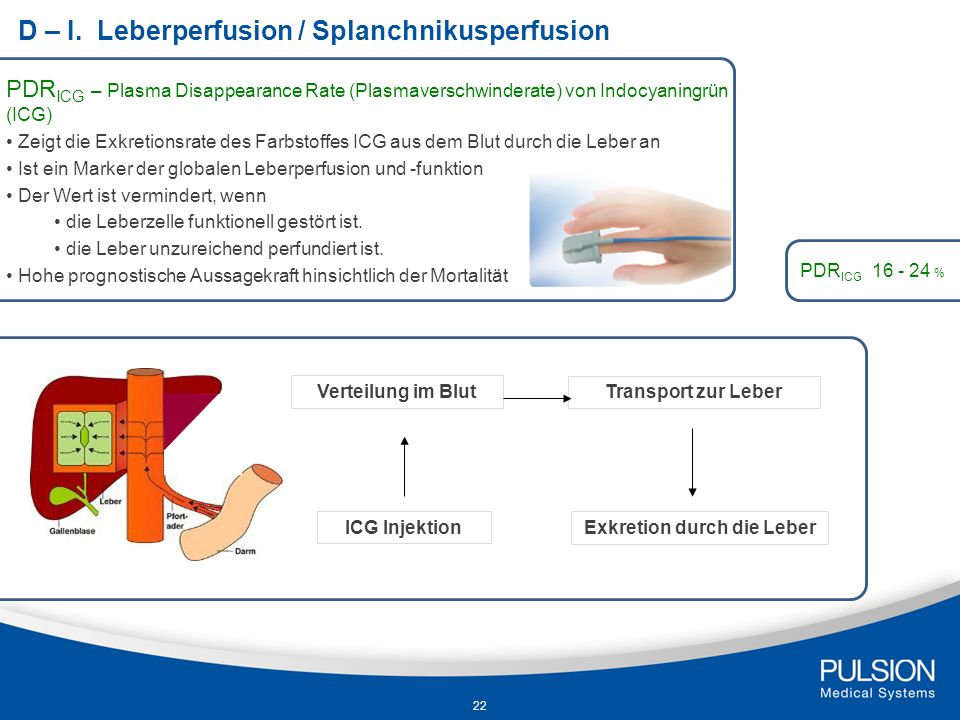 D – I. Leberperfusion / Splanchnikusperfusion