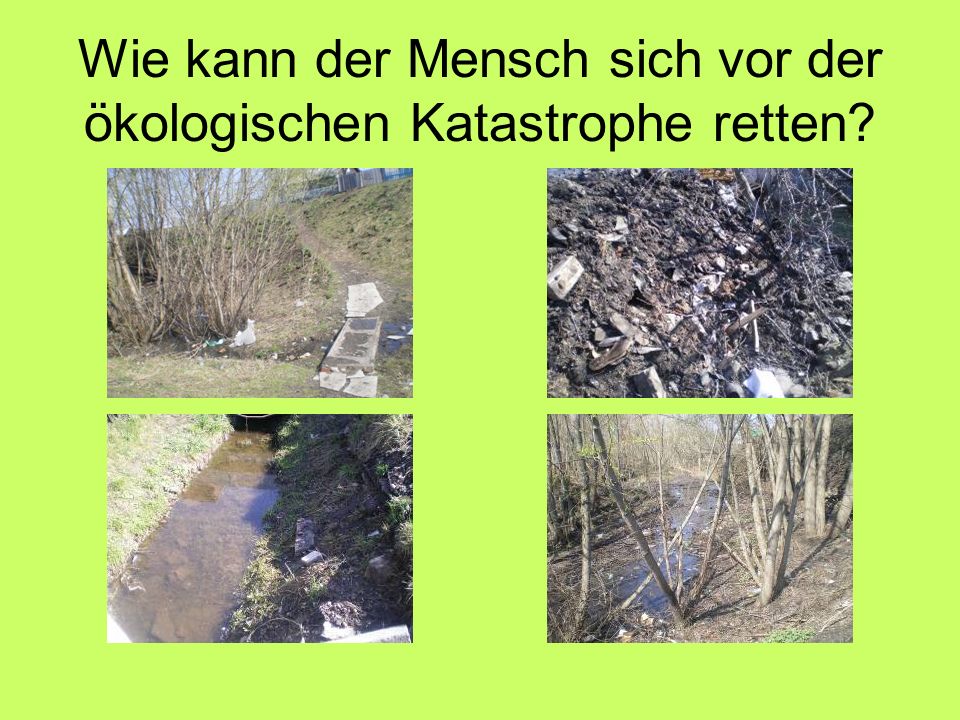 Wie kann der Mensch sich vor der ökologischen Katastrophe retten