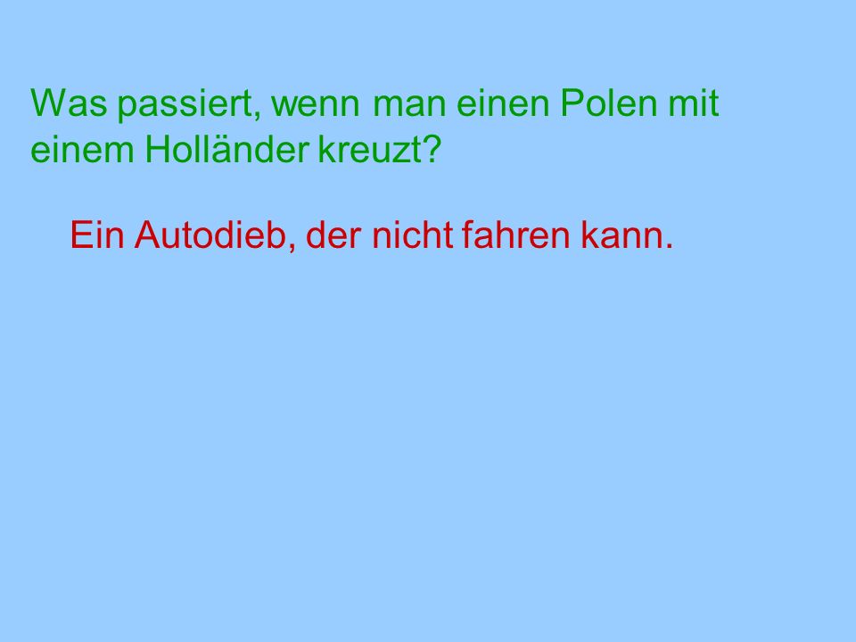 Was passiert, wenn man einen Polen mit einem Holländer kreuzt