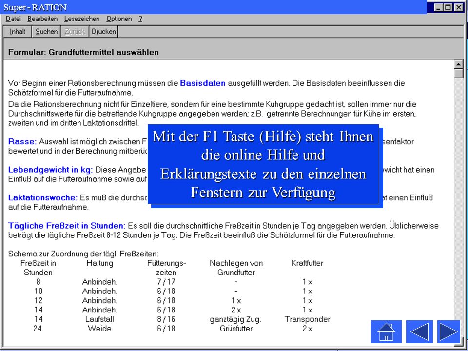 Super - RATION Mit der F1 Taste (Hilfe) steht Ihnen die online Hilfe und Erklärungstexte zu den einzelnen Fenstern zur Verfügung.
