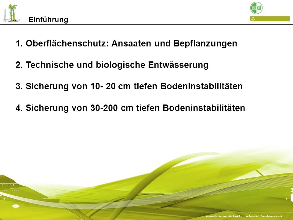 1. Oberflächenschutz: Ansaaten und Bepflanzungen