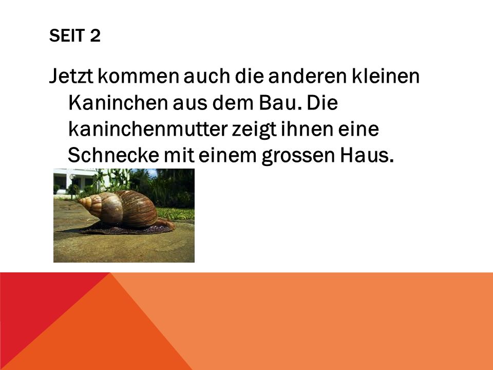 Seit 2 Jetzt kommen auch die anderen kleinen Kaninchen aus dem Bau.