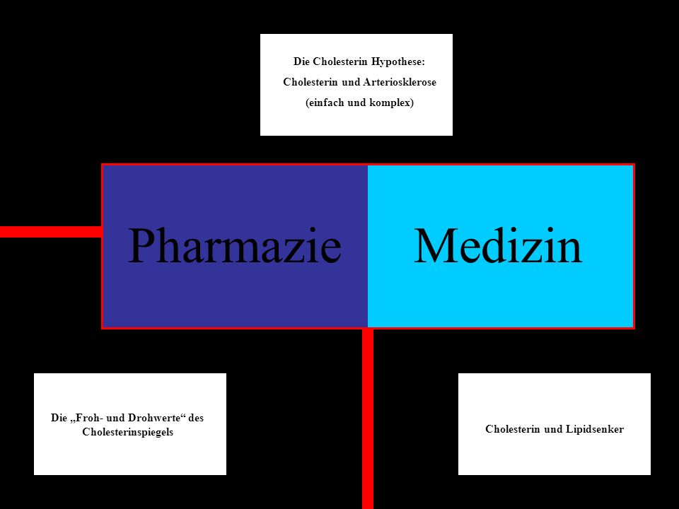 Pharmazie Medizin Die Cholesterin Hypothese: