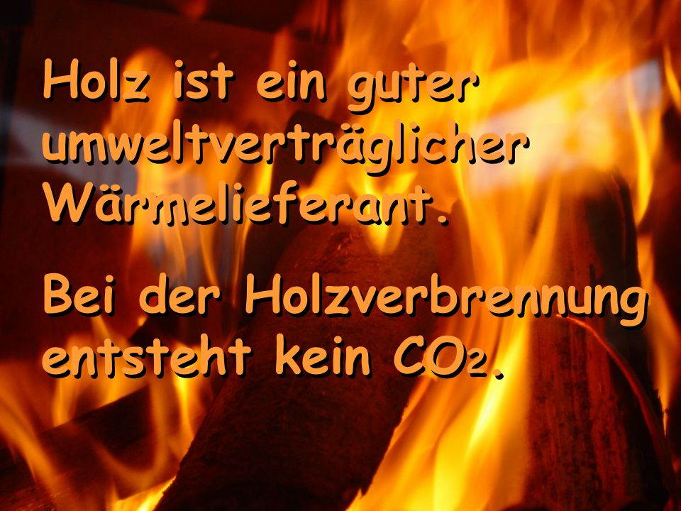 Holz ist ein guter umweltverträglicher Wärmelieferant.