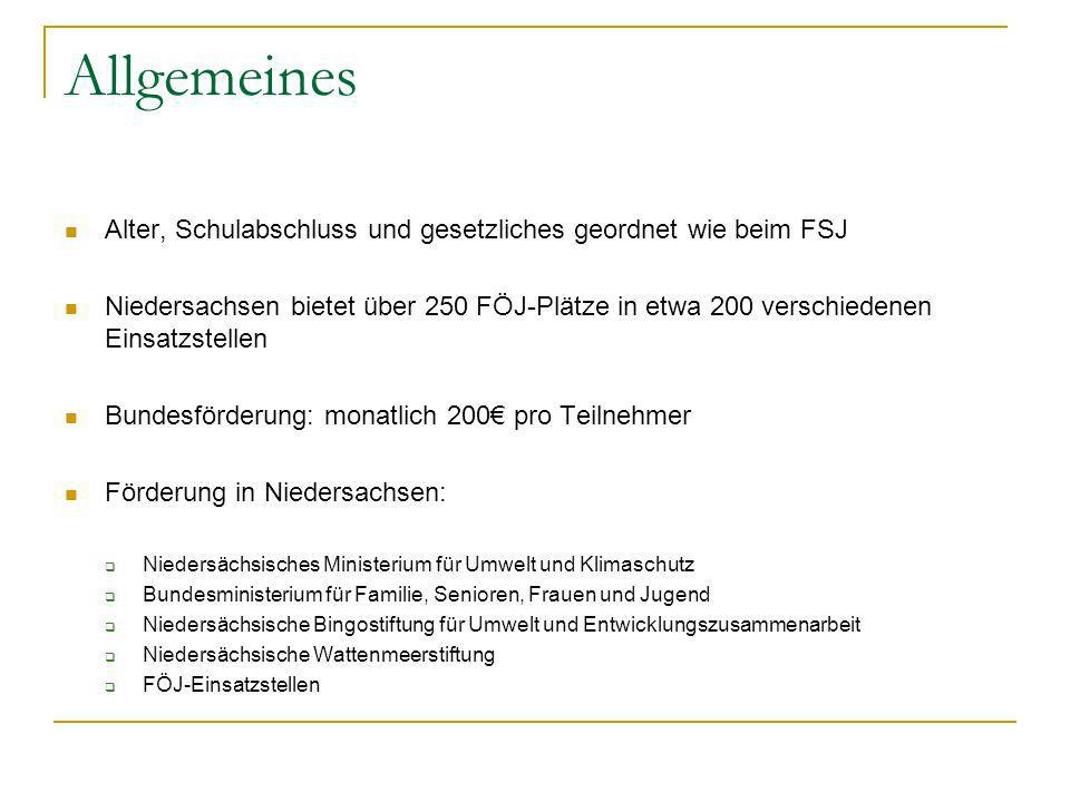 Allgemeines Alter, Schulabschluss und gesetzliches geordnet wie beim FSJ.