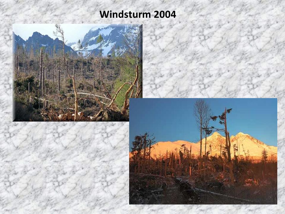 Windsturm 2004