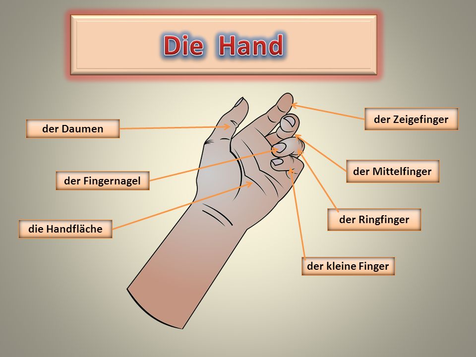 Die Hand der Zeigefinger der Daumen der Mittelfinger der Fingernagel