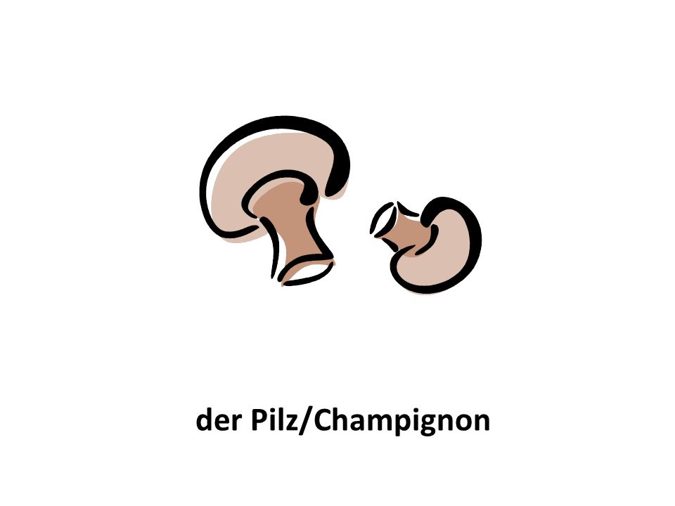 der Pilz/Champignon