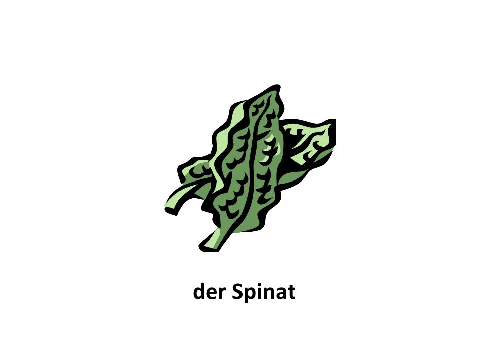 der Spinat