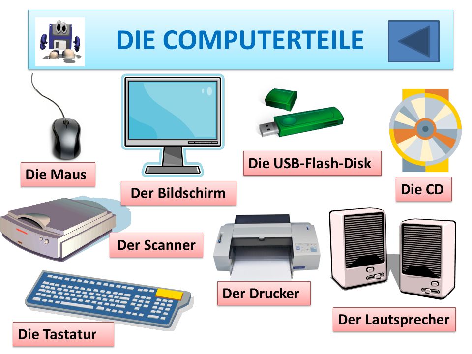 DIE COMPUTERTEILE Die USB-Flash-Disk Die Maus Die CD Der Bildschirm