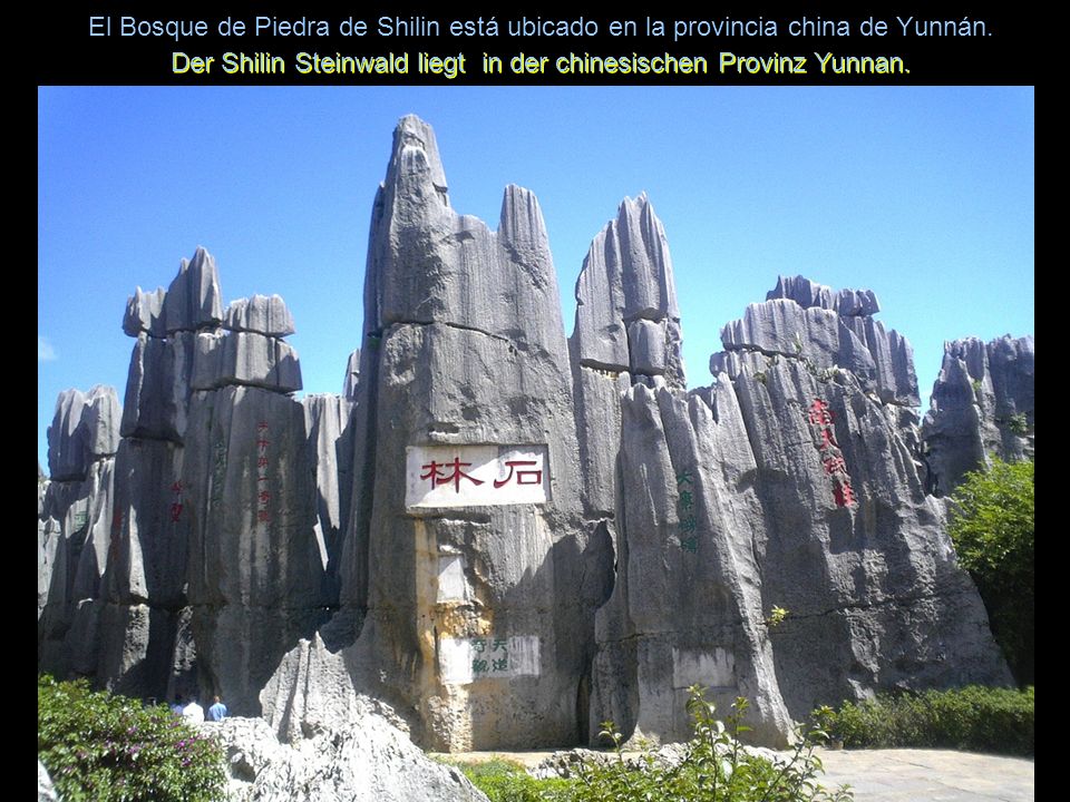 Der Shilin Steinwald liegt in der chinesischen Provinz Yunnan.