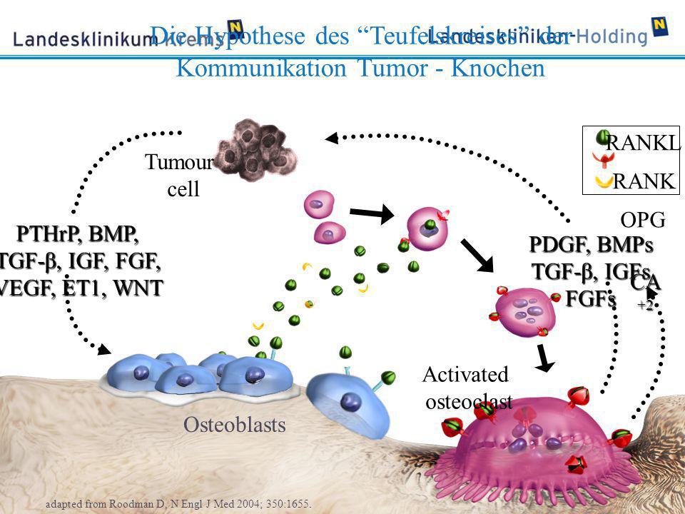 Die Hypothese des Teufelskreises der Kommunikation Tumor - Knochen