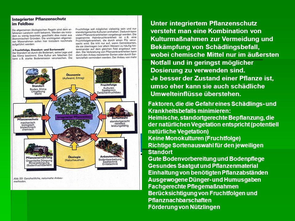 Unter integriertem Pflanzenschutz versteht man eine Kombination von Kulturmaßnahmen zur Vermeidung und Bekämpfung von Schädlingsbefall, wobei chemische Mittel nur im äußersten Notfall und in geringst möglicher Dosierung zu verwenden sind. Je besser der Zustand einer Pflanze ist, umso eher kann sie auch schädliche Umwelteinflüsse überstehen.