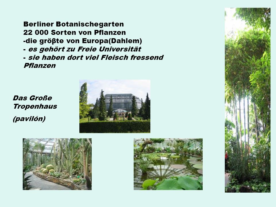 Berliner Botanischegarten