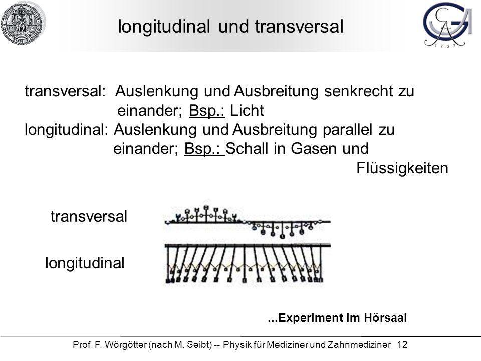 longitudinal und transversal