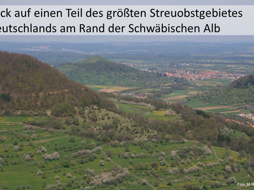 Blick auf einen Teil des größten Streuobstgebietes Deutschlands am Rand der Schwäbischen Alb