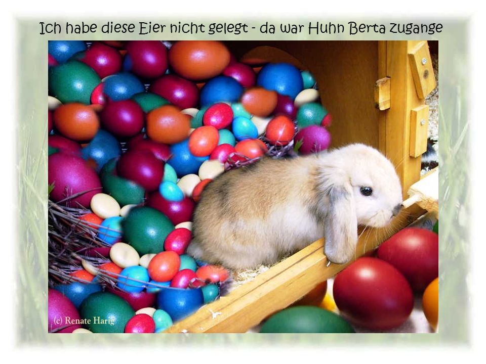 Ich habe diese Eier nicht gelegt - da war Huhn Berta zugange