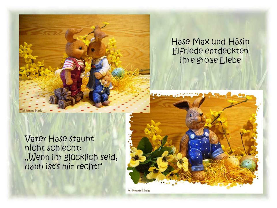 Hase Max und Häsin Elfriede entdeckten ihre große Liebe
