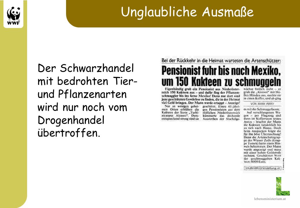 Unglaubliche Ausmaße Der Schwarzhandel mit bedrohten Tier- und Pflanzenarten wird nur noch vom Drogenhandel übertroffen.