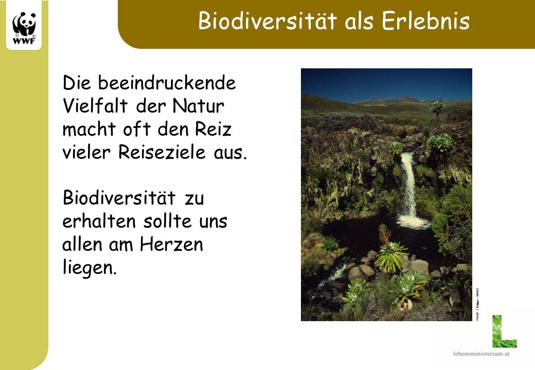 Biodiversität als Erlebnis