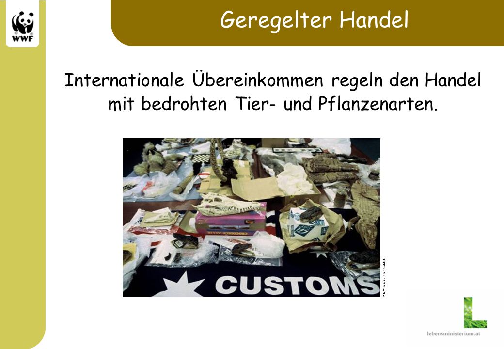 Geregelter Handel Internationale Übereinkommen regeln den Handel mit bedrohten Tier- und Pflanzenarten.