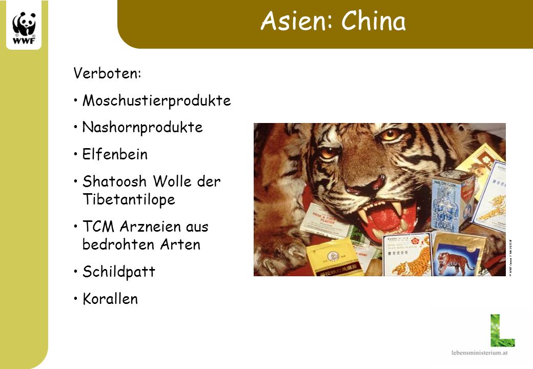 Asien: China Verboten: Moschustierprodukte Nashornprodukte Elfenbein