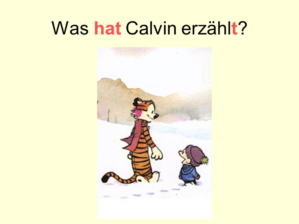 Was hat Calvin erzählt