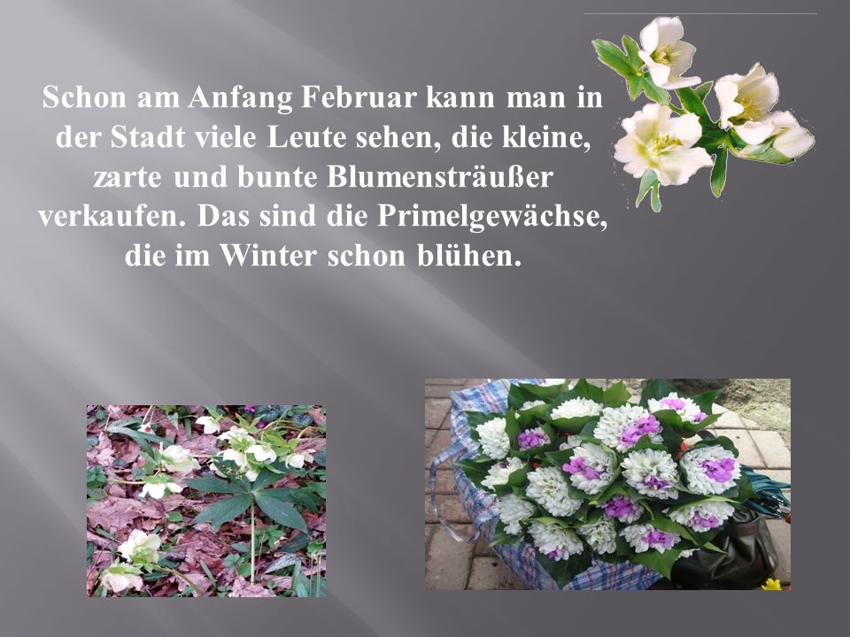 Schon am Anfang Februar kann man in der Stadt viele Leute sehen, die kleine, zarte und bunte Blumensträußer verkaufen.