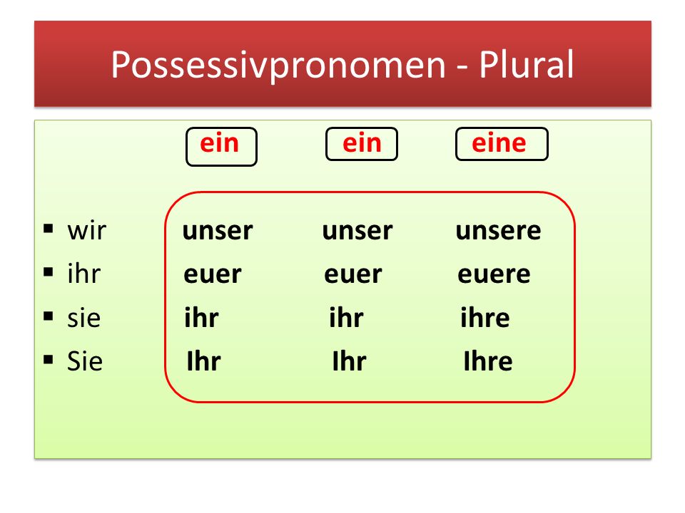 Possessivpronomen - Plural