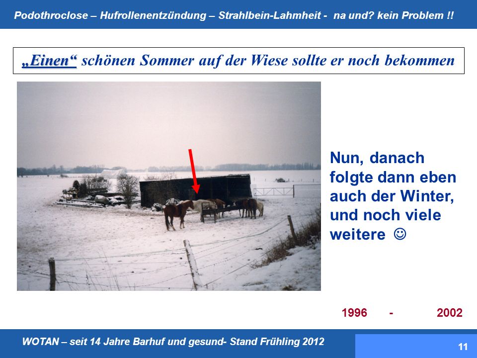 „Einen schönen Sommer auf der Wiese sollte er noch bekommen