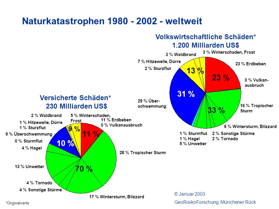 Volkswirtschaftliche Schäden*
