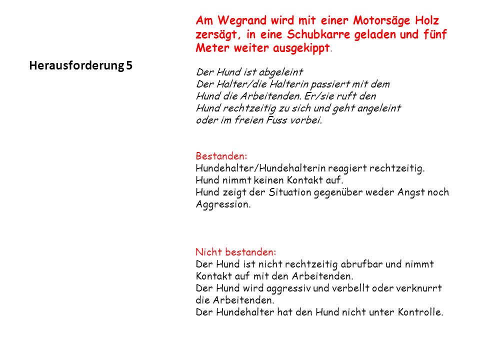 Herausforderung 5 Am Wegrand wird mit einer Motorsäge Holz