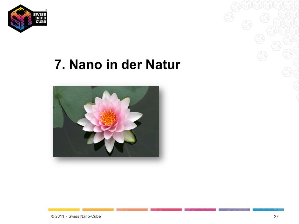 7. Nano in der Natur