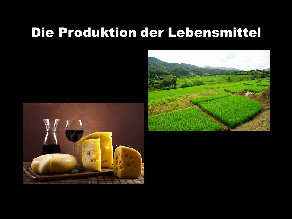 Die Produktion der Lebensmittel