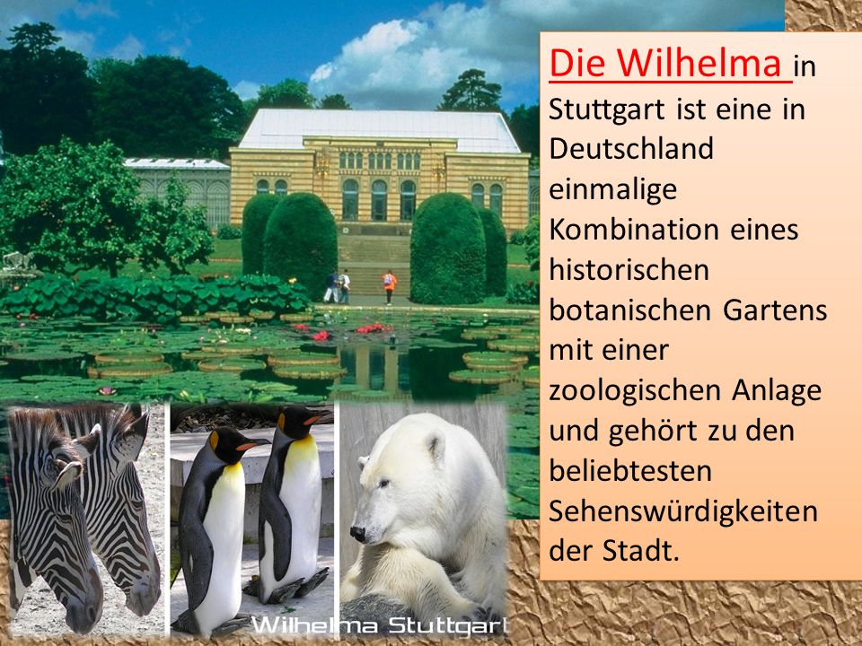 Die Wilhelma in Stuttgart ist eine in Deutschland einmalige Kombination eines historischen botanischen Gartens mit einer zoologischen Anlage und gehört zu den beliebtesten Sehenswürdigkeiten der Stadt.