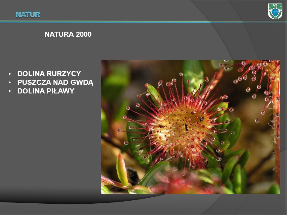 NATUR NATURA 2000 DOLINA RURZYCY PUSZCZA NAD GWDĄ DOLINA PIŁAWY