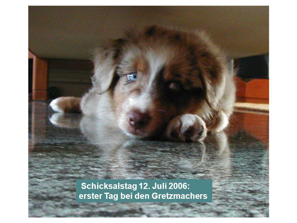 Schicksalstag 12. Juli 2006: erster Tag bei den Gretzmachers