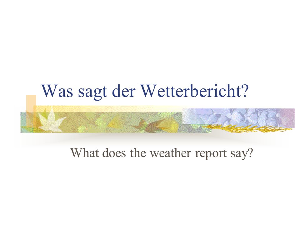 Was sagt der Wetterbericht
