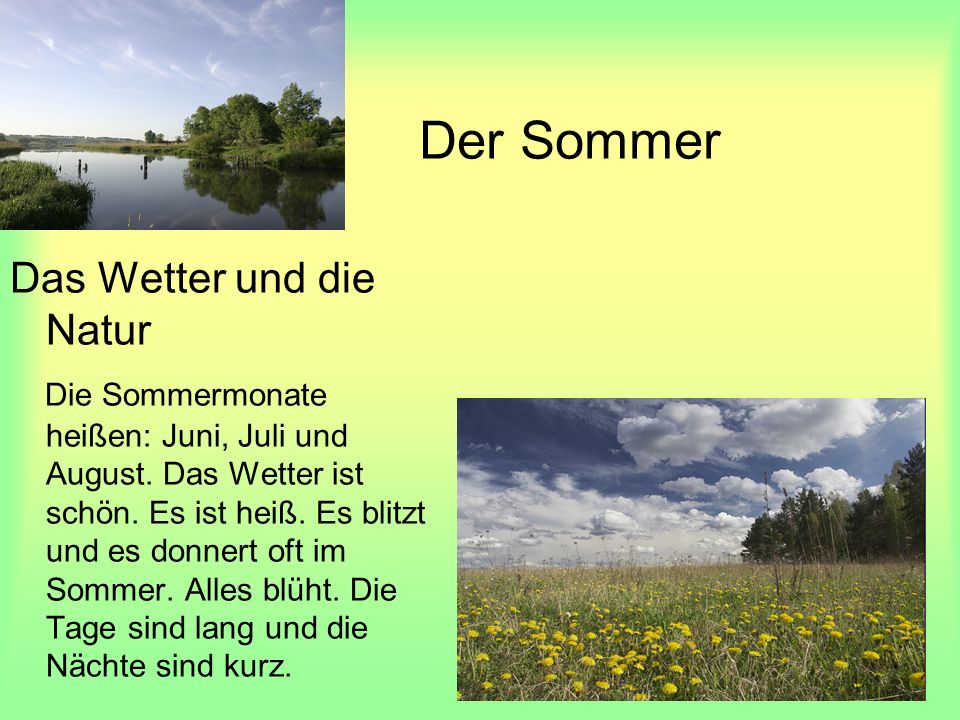 Sommer Rsy