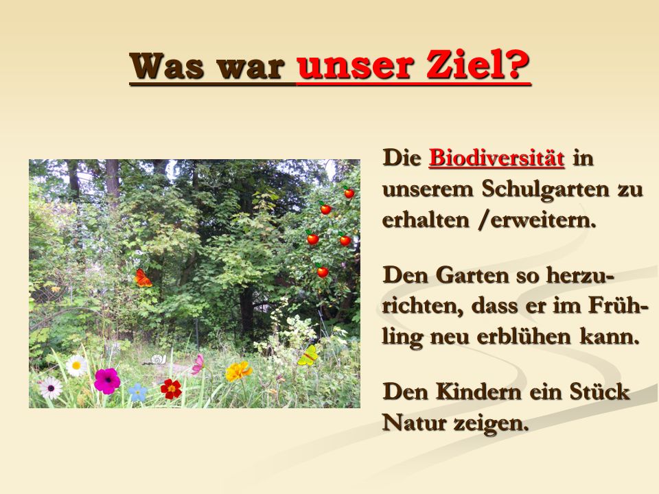 Was war unser Ziel Die Biodiversität in unserem Schulgarten zu erhalten /erweitern.