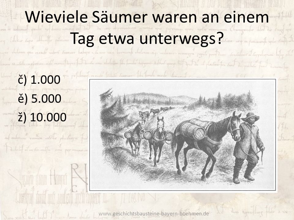 Wieviele Säumer waren an einem Tag etwa unterwegs