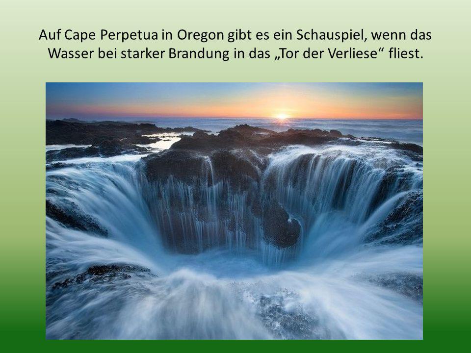 Auf Cape Perpetua in Oregon gibt es ein Schauspiel, wenn das Wasser bei starker Brandung in das „Tor der Verliese fliest.