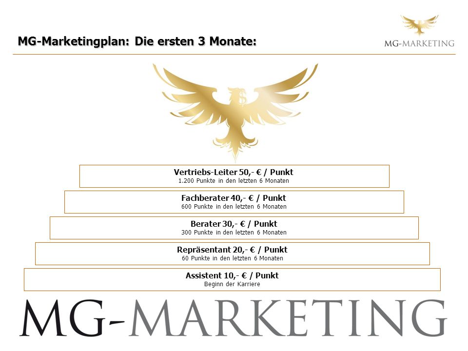 MG-Marketingplan: Die ersten 3 Monate: